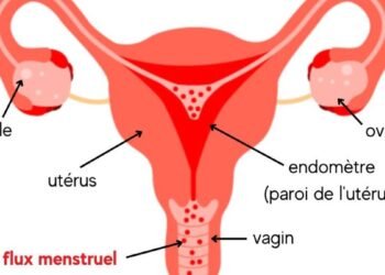 Menstruations