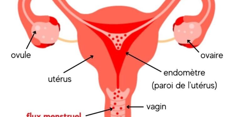 Menstruations
