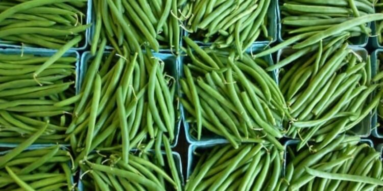 Des haricots verts
