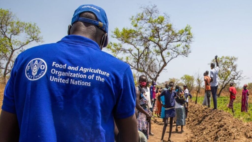 La FAO au Soudan du Sud
