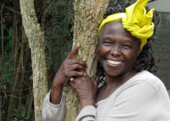Wangari Maathai : La Gardienne de la Terre et des Droits Humains